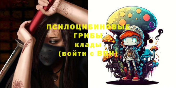 прущие крисы Няндома