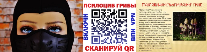 где купить наркотик  Южа  Галлюциногенные грибы Psilocybe 